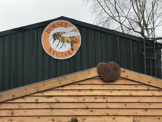Dorset Nectar Cider