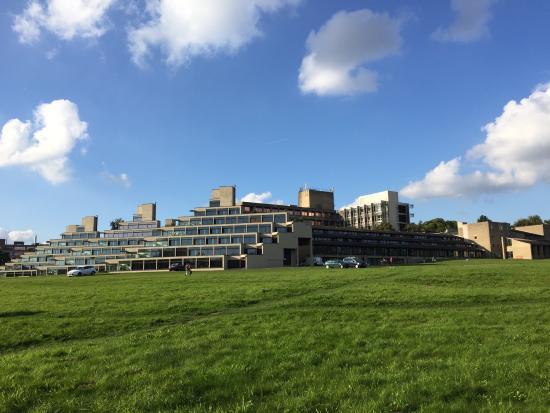 University of East Anglia