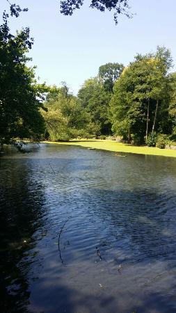 The Tarn Bird Sanctuary