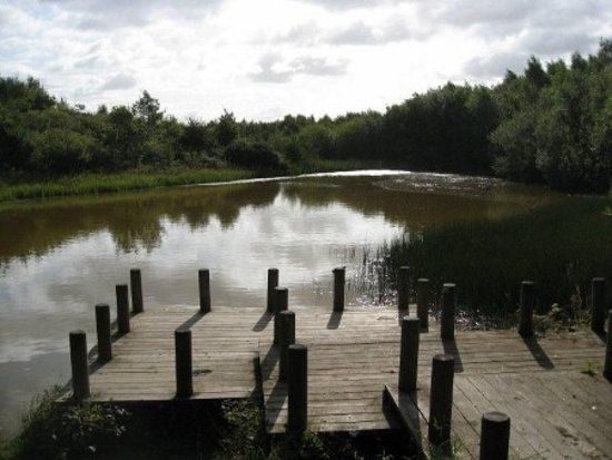 New Lount Nature Reserve
