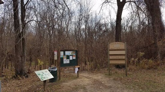Bangert Island Park Trail Wildlife