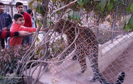 Bahria Enclave Zoo