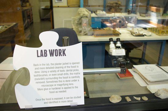 Ralph B Clark Regional Park