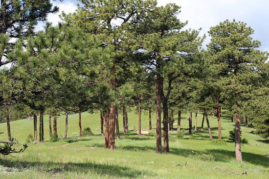 Betasso Preserve