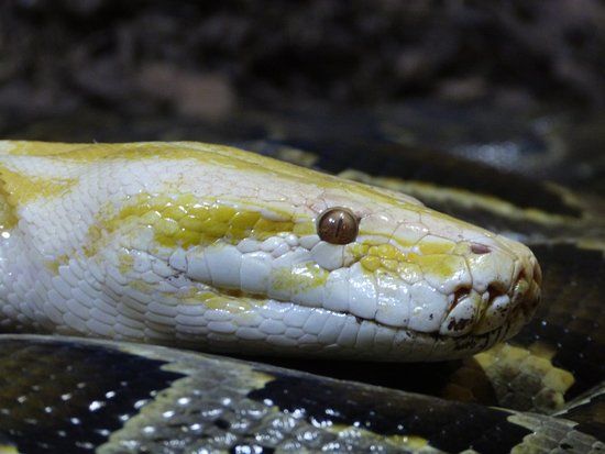 Reptilienzoo Allgäu