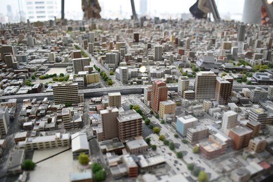 Nagoya Urban Institute