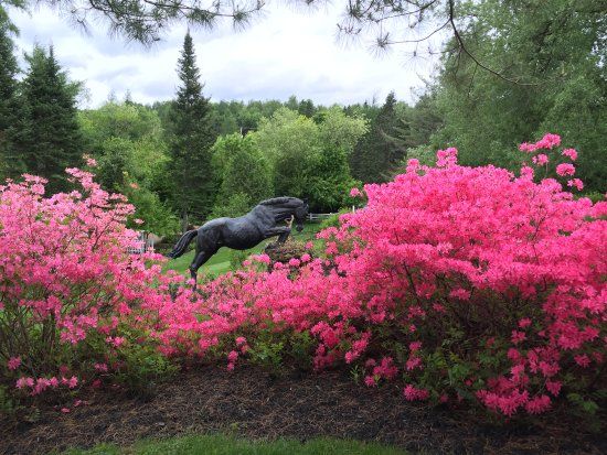 Le Jardin de Francois