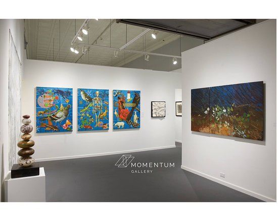 Momentum Gallery
