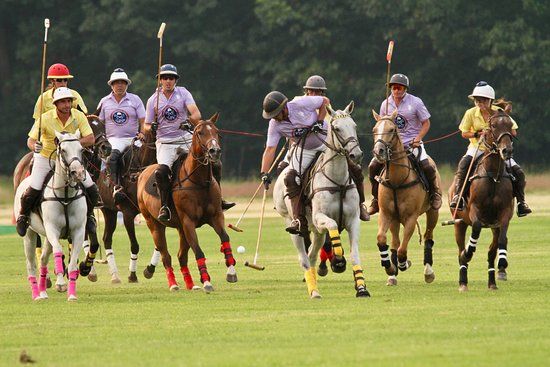 Saratoga Polo Association