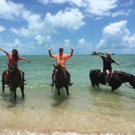 Happy Trails Stables