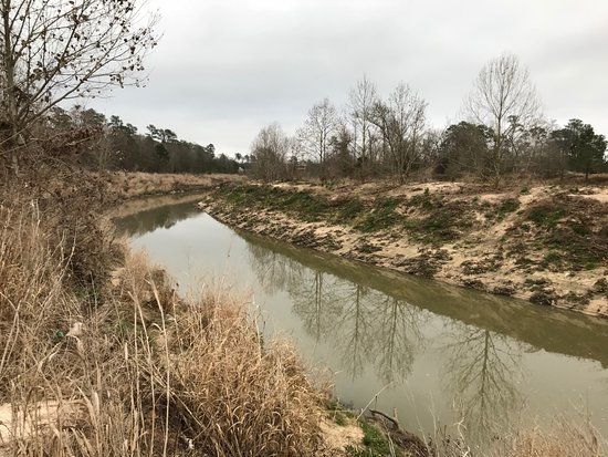 Meyer Park