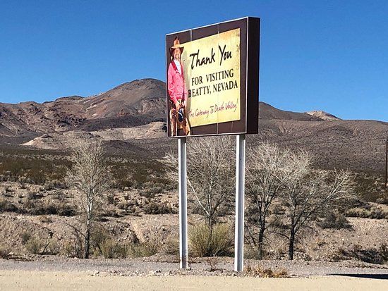 Angel's Ladies Brothel