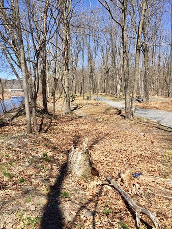 Yetter Park