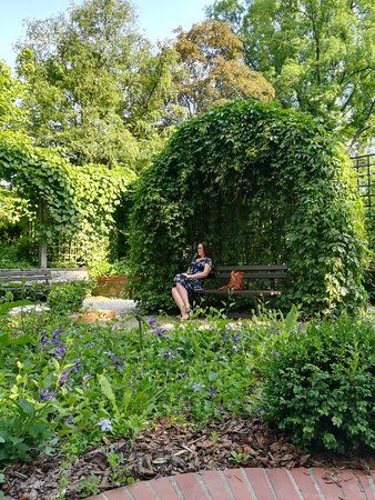 Jardim Botânico da Universidade de Varsóvia