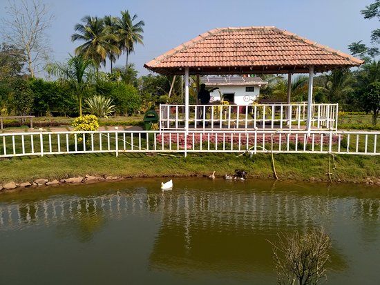 Nature First Eco Village