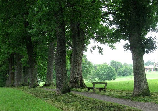 Kottmüllerallee