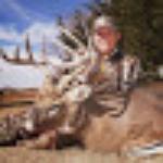 Popeyes Louisiana Kitchen