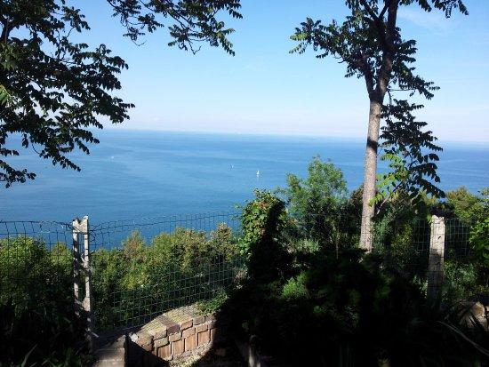 Trattoria Osteria della Vedova