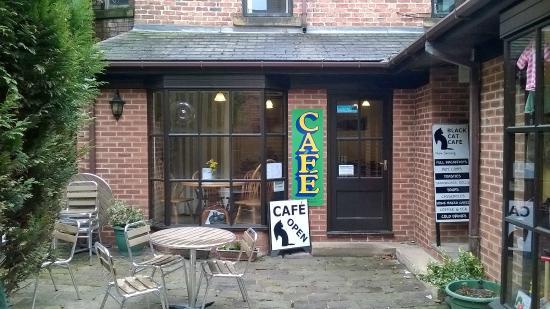 Black Cat Cafe