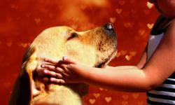 Sovereign View Restaurant