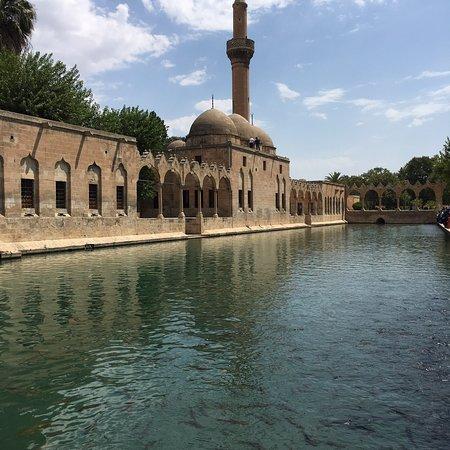 İkiler Ciğer Salonu