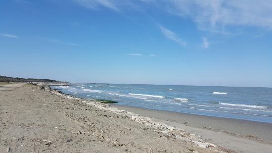 Bagno Palm Beach Bar Ristorante