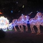 Sapori E Tradizioni Di Marcucci Katia