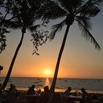 Blooming Orchids Thai Restaurant