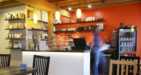 Owl & Turtle Bookshop