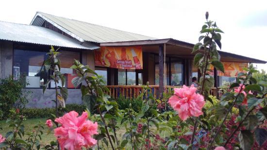 Dikubu Strawberry Farm Bedugul