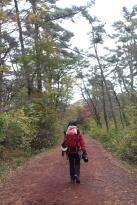 Taeneung Hometown Pungcheon Eel