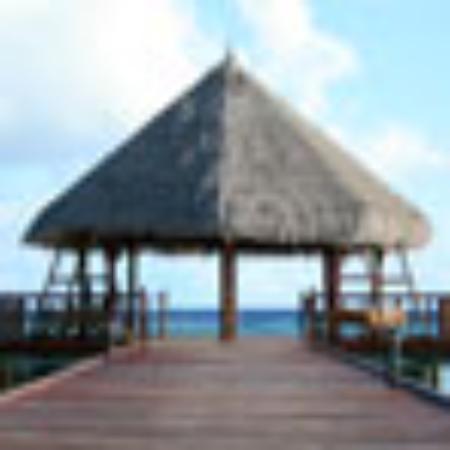 Amity Bar & Restaurant