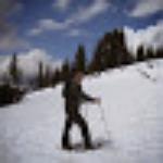 Shreedevi Veg Restaurant