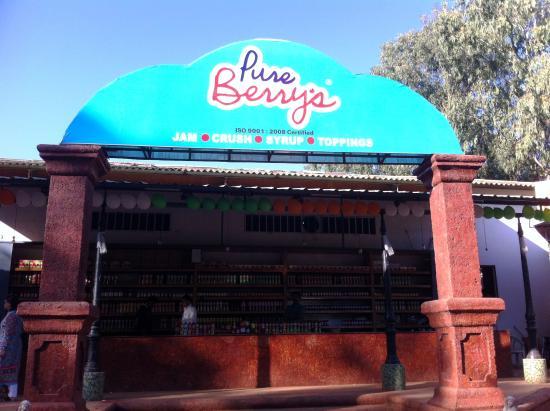 Pure Berry