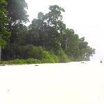 Shakes Delight American Diner