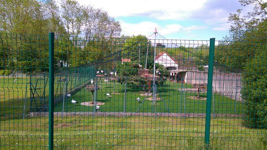 L'Enclos aux Cigognes