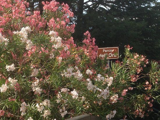 Parco Dell'Ora