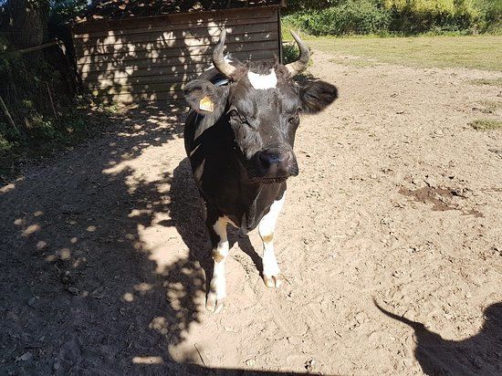 La Ferme Enchantée