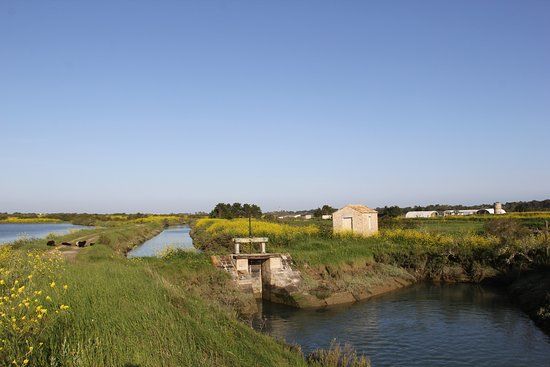 La Ferme des Baleines