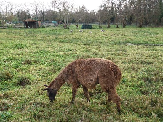 Ferme de la Barbanne