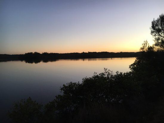 Belmont Wetlands State Park