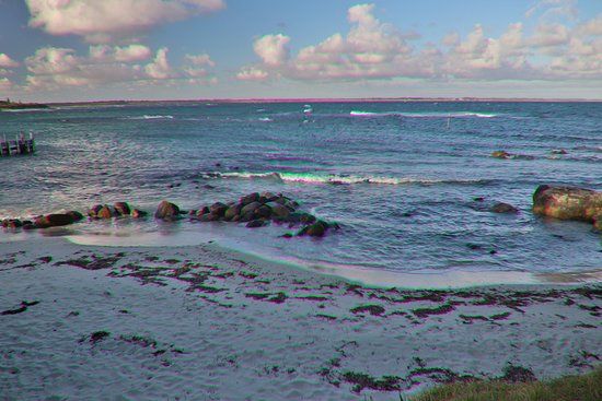 Whale Rescue Memorial