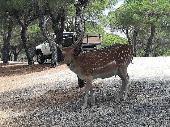 Parque Mata Da Conceicao
