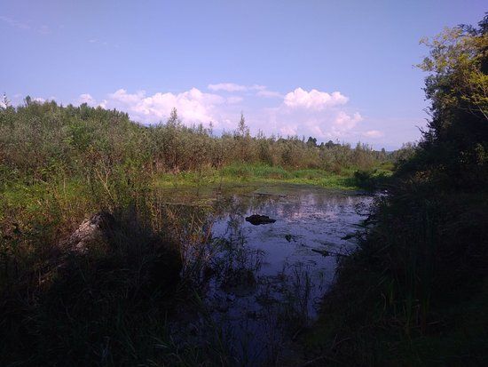 Grotte e trincee del Piave