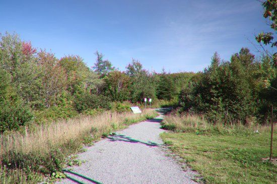 Greenlink Rotary Park Trail System