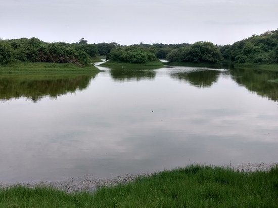 Adyar Poonga River Restoration Park