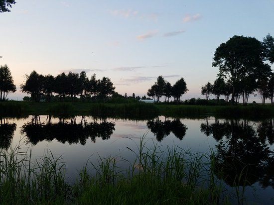 Fish Pond Park