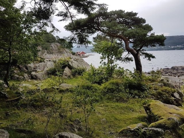 Arboretum und Botanischer Garten