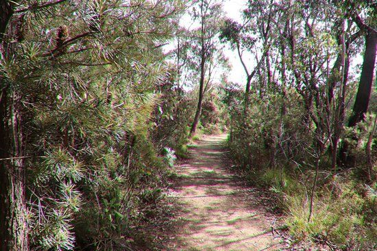 Cliff Top Walking Track