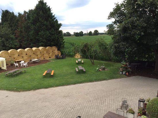 Hockenheimer Maislabyrinth